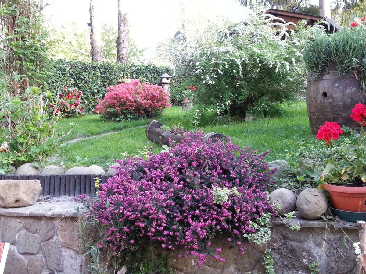 Bed and Breakfast Il Casolare Bioenergetico Albareto  Zewnętrze zdjęcie